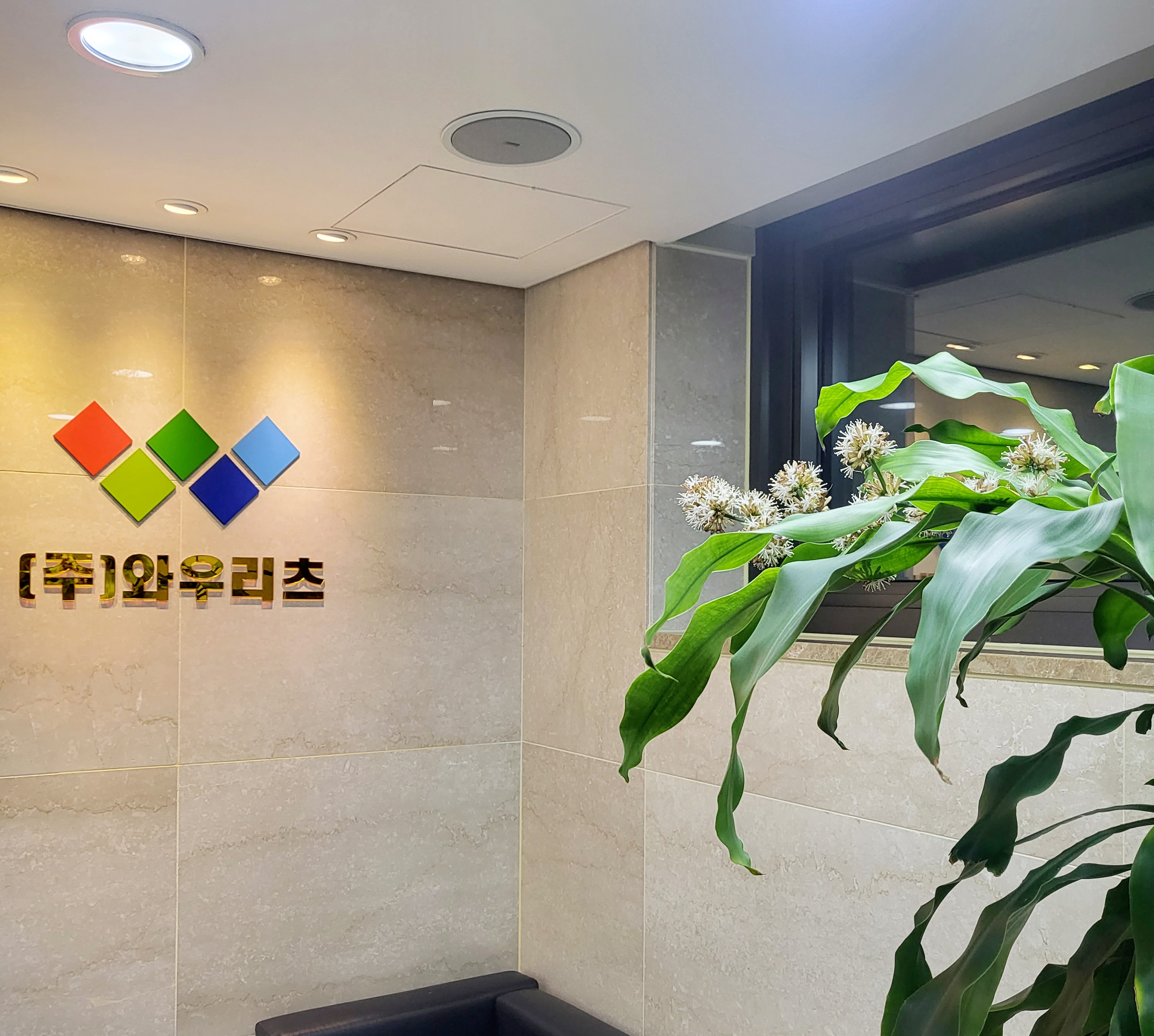 주식회사 와우리츠